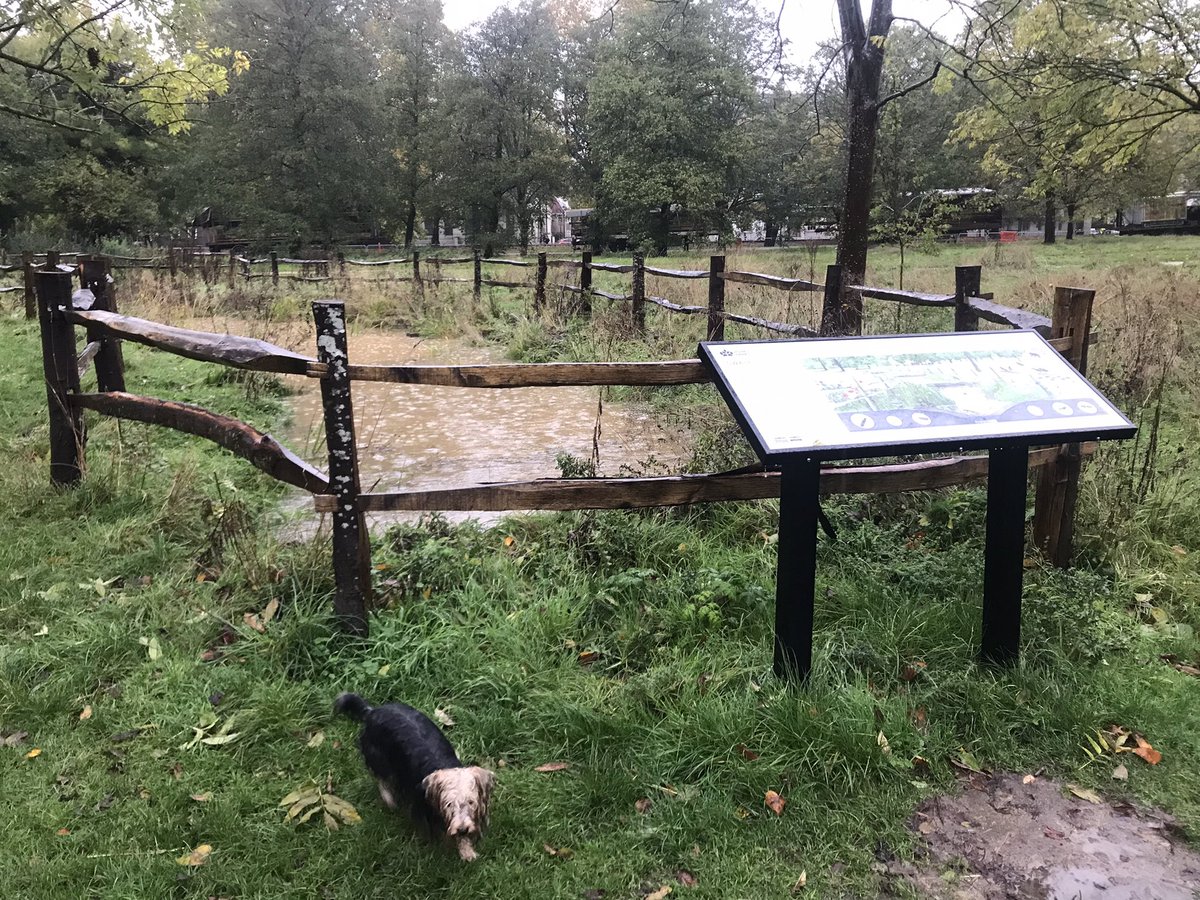 Miss Slater tweet media