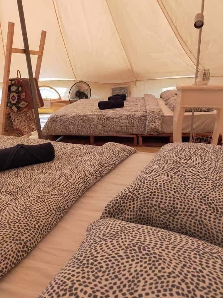 Cuti2KakiTravel's tweet photo. Jom Glamping dekat Melaka. Staycation ni tepi laut. Tent diorang sediakan nice. Kemudahan semua lengkap. Aktiviti lain korang boleh plan sendiri seperti memanah, congkak, ATV dan lain-lain lagi. 😊

📍The Baruh Glamping, Melaka https://t.co/HJWmVPMIVF
