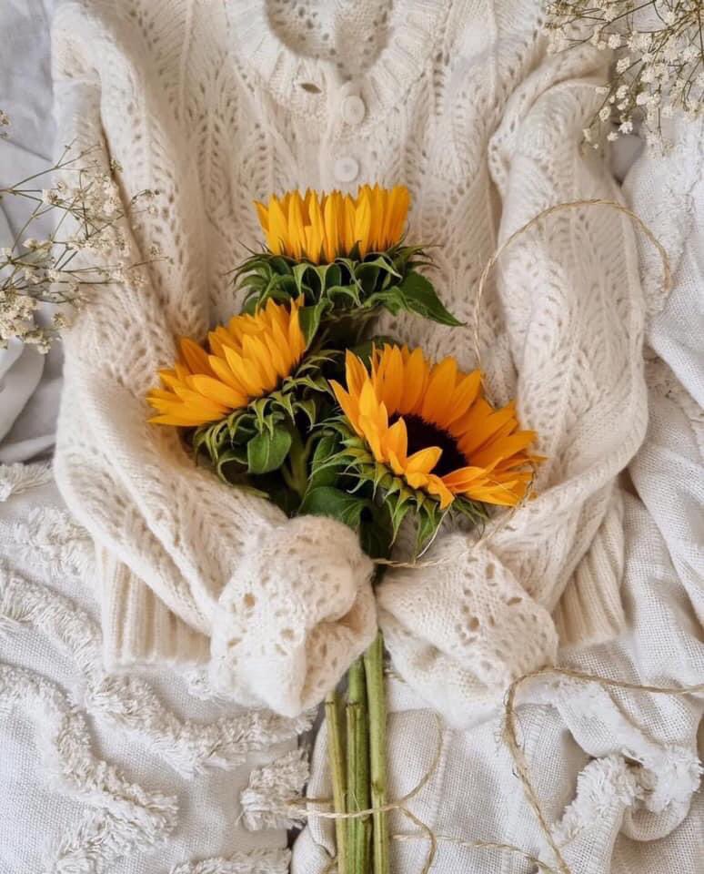 #_بِـ_الـمُنَاسَبَـــة

،

 "يهمني انك تختار كلمتك معي بعناية، اللغة واسعة والمفردات كثيرة ،وأنا خاطري واحد لا أملك أغلى منه"

،