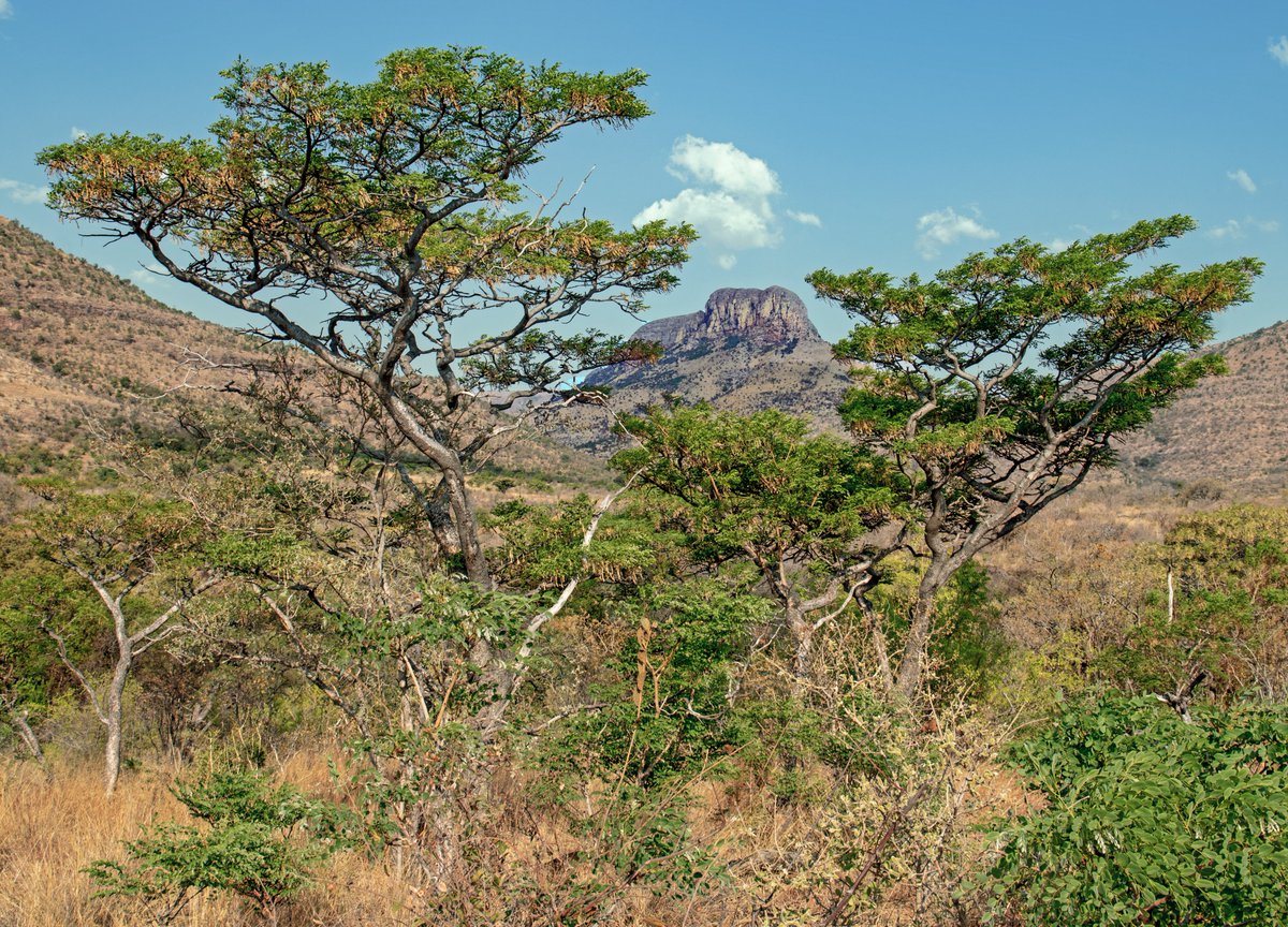 I love Marakele National Park