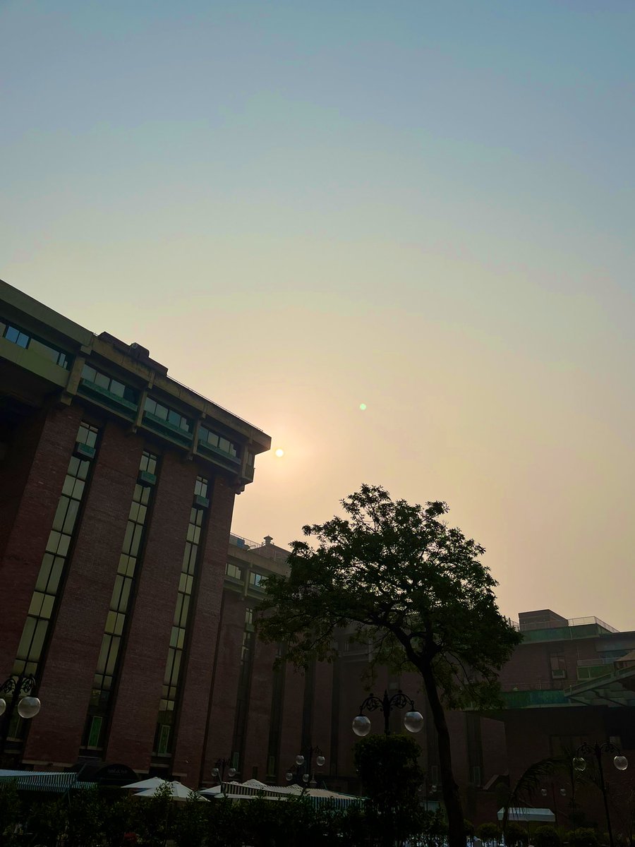 Elizabeth Mary John tweet media