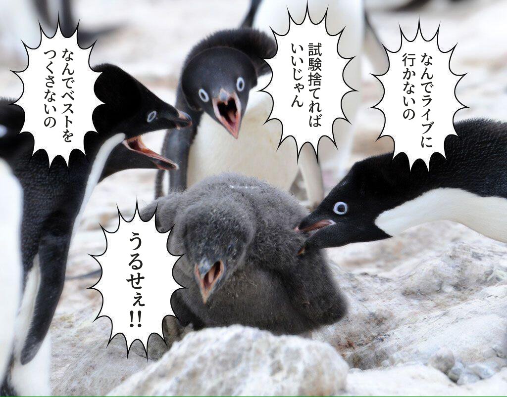 immoralcat2's tweet photo. 結局いいコラ素材見つからなかったよ https://t.co/5XObKVYq4D