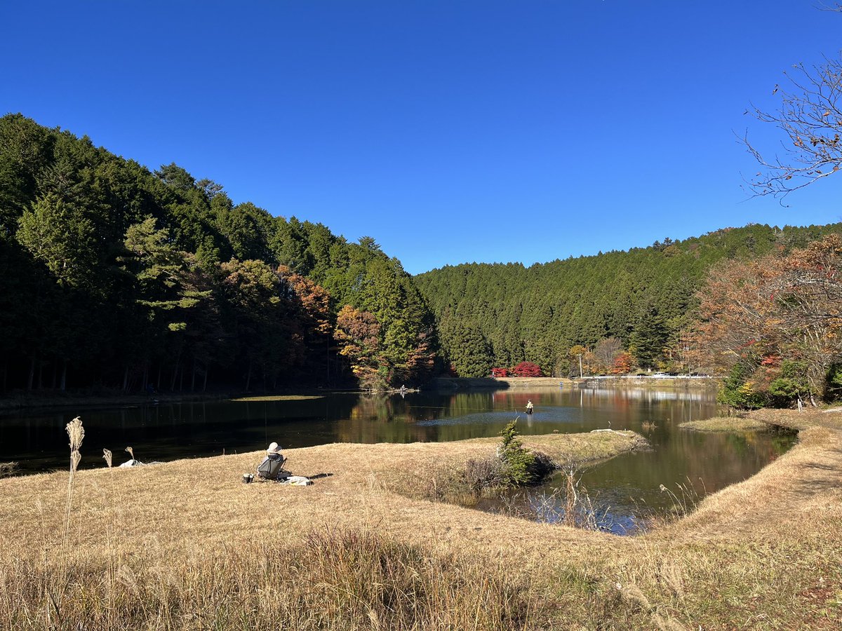 gonesu_ch's tweet photo. 今日は良い行楽日和でした🥰
山道走行は酔いやすいのであまり好きでは無かったですが、レヴォーグだと山道超楽しい‼️

色んなところに出かけたくなりますね👏 https://t.co/pXR26K4D7d