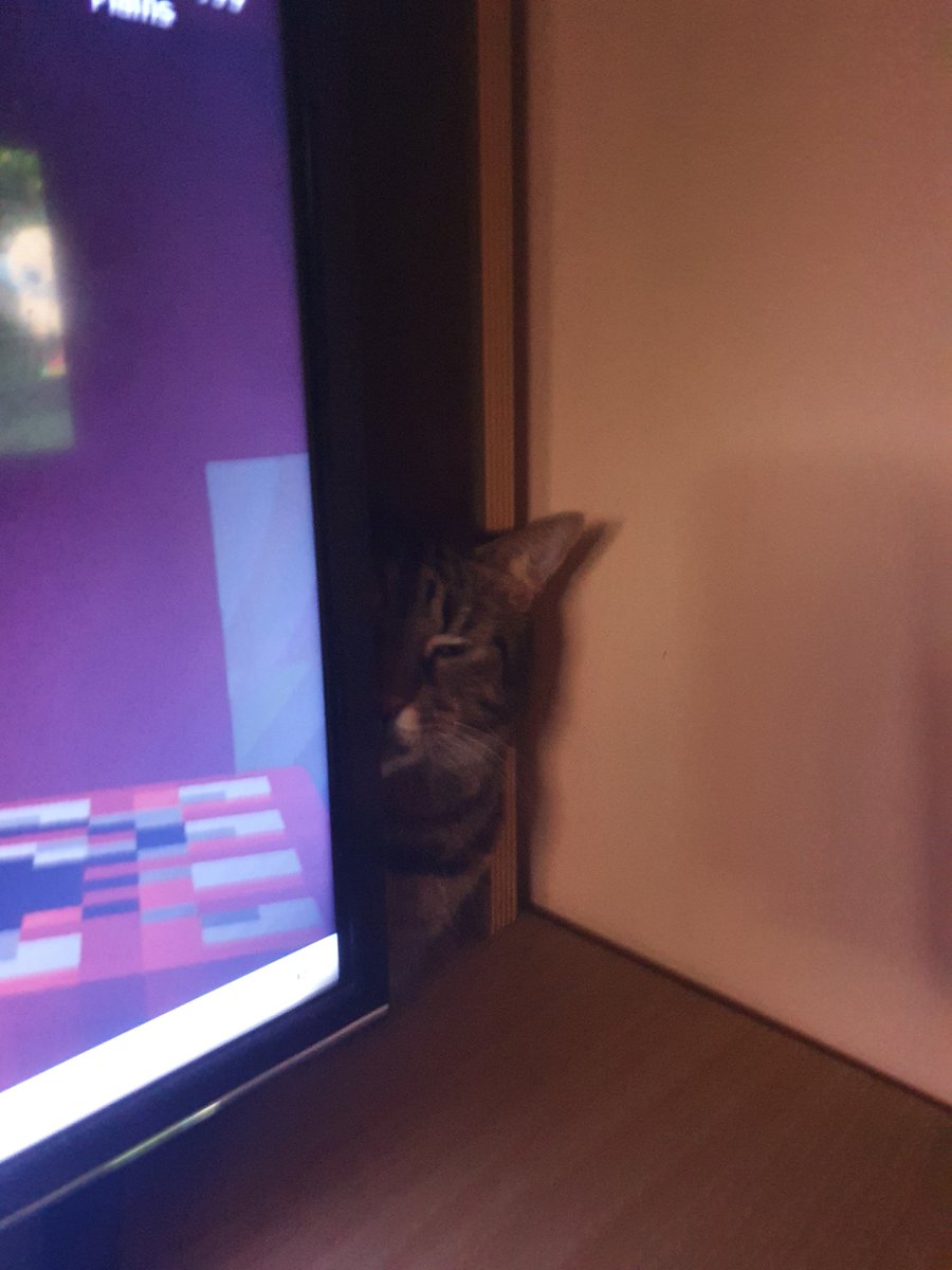 Shya 🏳️‍⚧️ tweet media