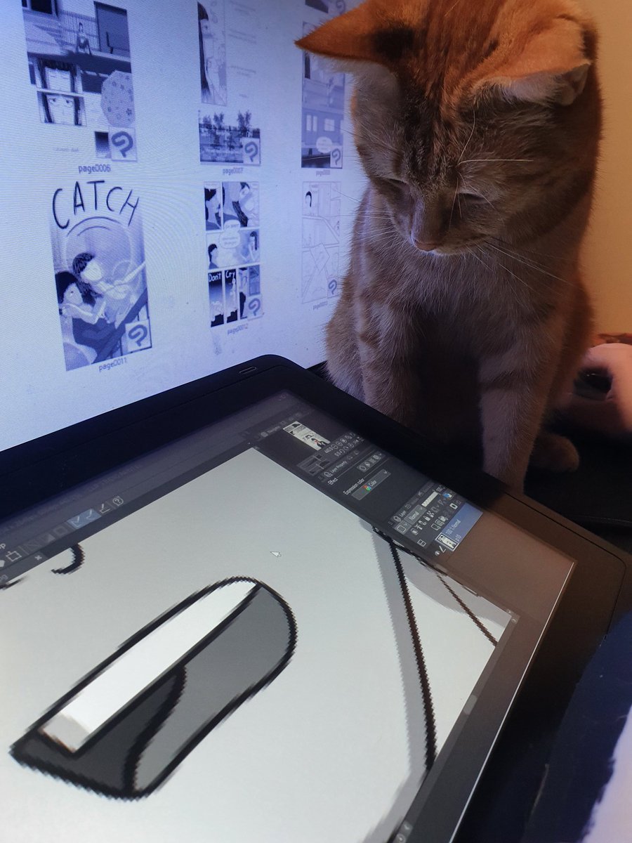 Shya 🏳️‍⚧️ tweet media