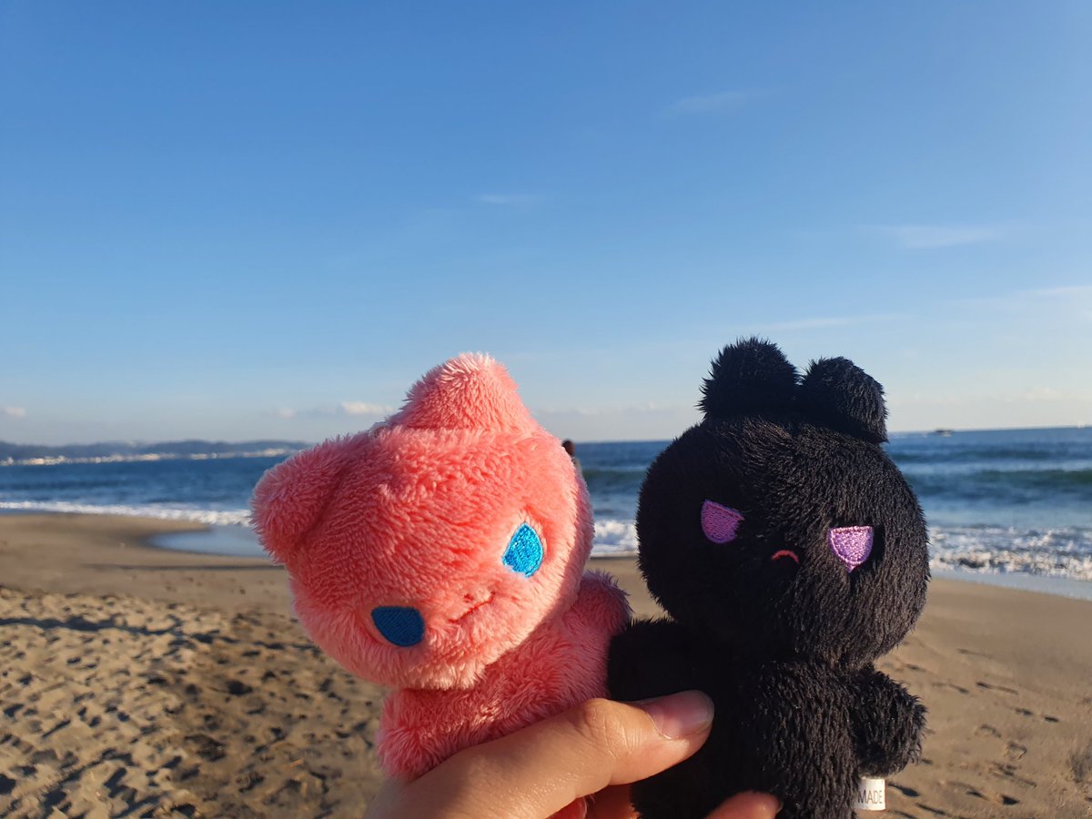 가마쿠라에서 사진 찍는데 새가...인형 뺏어갈까봐 좀 무서웟음
