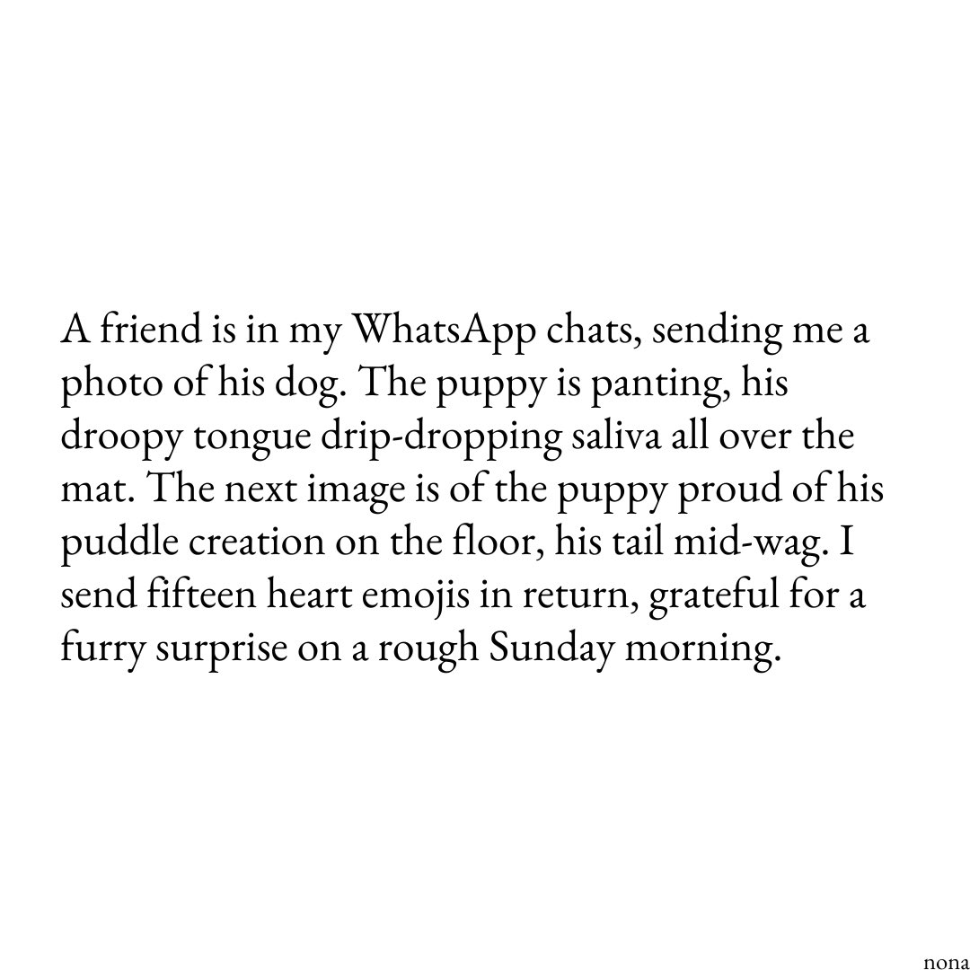 nona_uppal's tweet photo. I wrote an ode to long distance friendships, the ones that survive it all and thrive in their unique, endearing ways https://t.co/GnB1Qx83I2