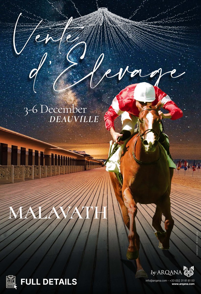 ‼️ Don't miss MALAVATH selling @InfoArqana Vente d’Élevage ‼️ ✅ Gr.2 winner and runner-up in the Gr.1 Breeders' Cup Juvenile Turf ✅ Full-sister to unbeaten & Classic prospect KNIGHT 🗓 Sale takes place on 3 - 6 December ➡️ Further details bit.ly/3fyERxF
