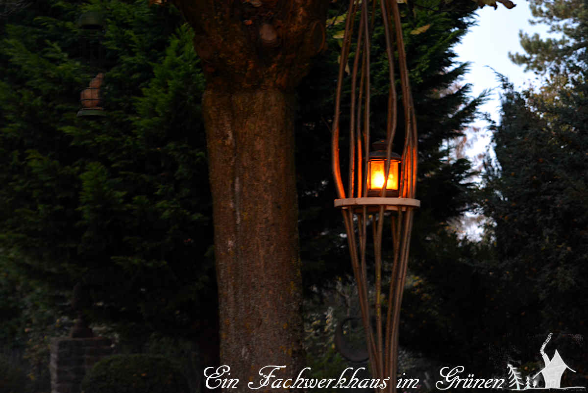 Die dunkle Jahreszeit ist auch immer die Zeit fürs #Basteln. Wir haben eine #Baumlaterne gebastelt, die etwas Licht in diese Zeit bringen soll.
gartenwonne.com/2022/11/zeit-f…