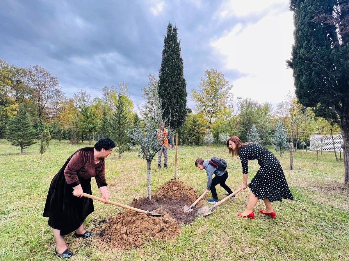 Një tjetër pemë ulliri 🌳për Parkun e Madh të Liqenit, nga familja Basha në kujtim të babait Ali🙏👏.