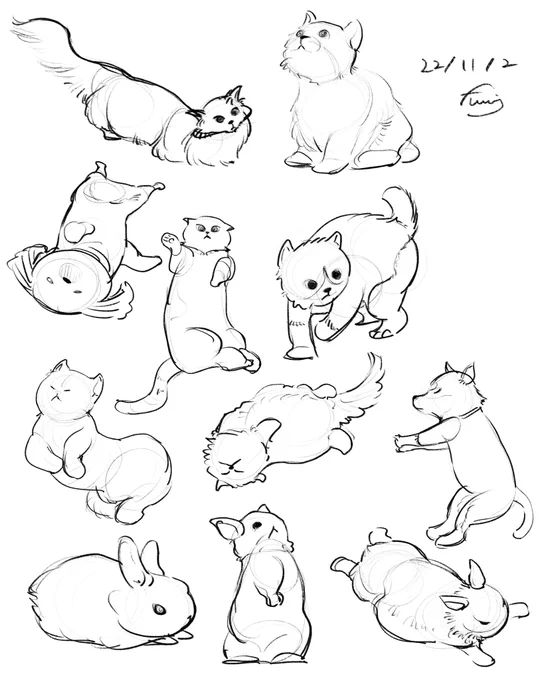 Animal gesture drawing 