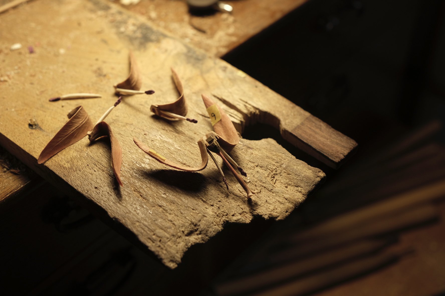 FUKUDA Toru 福田 亨 on Twitter 