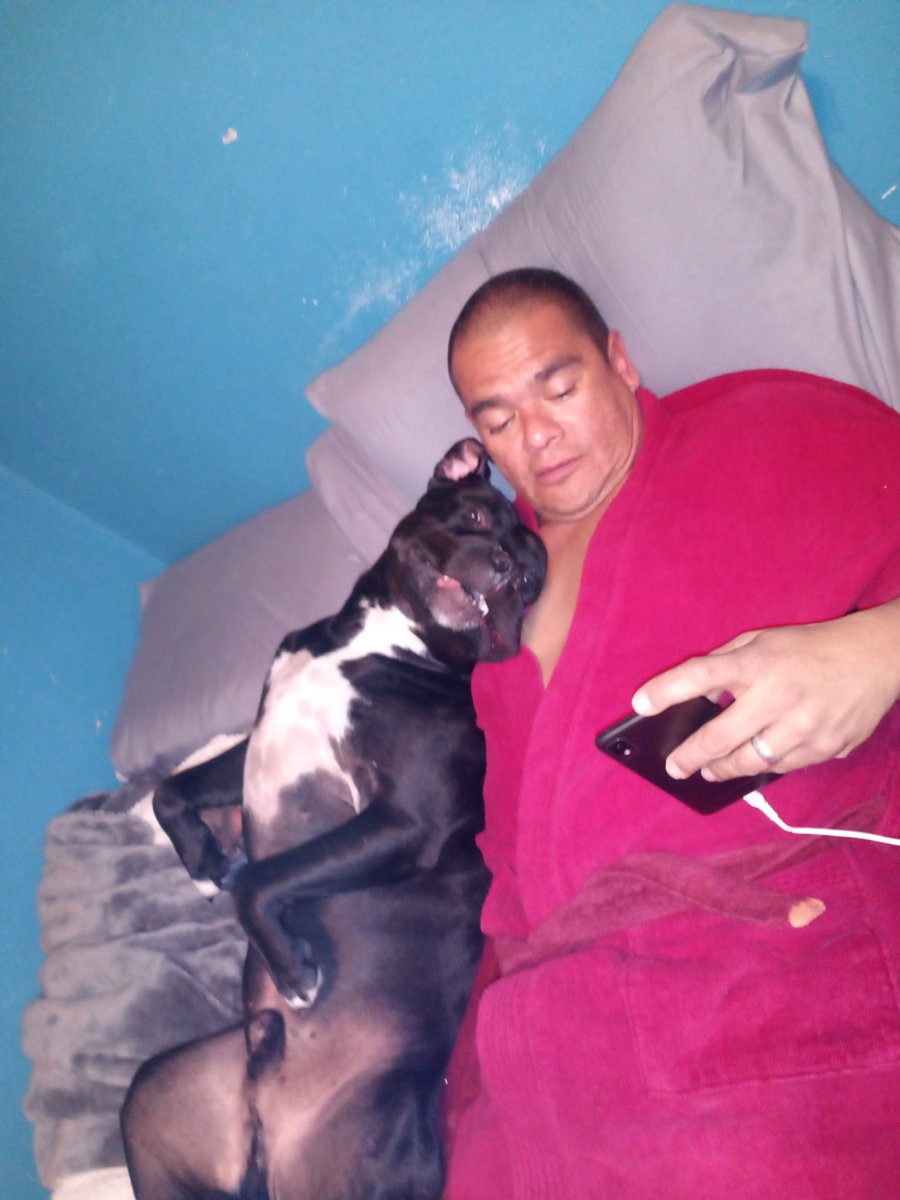 Amy Shoen tweet media