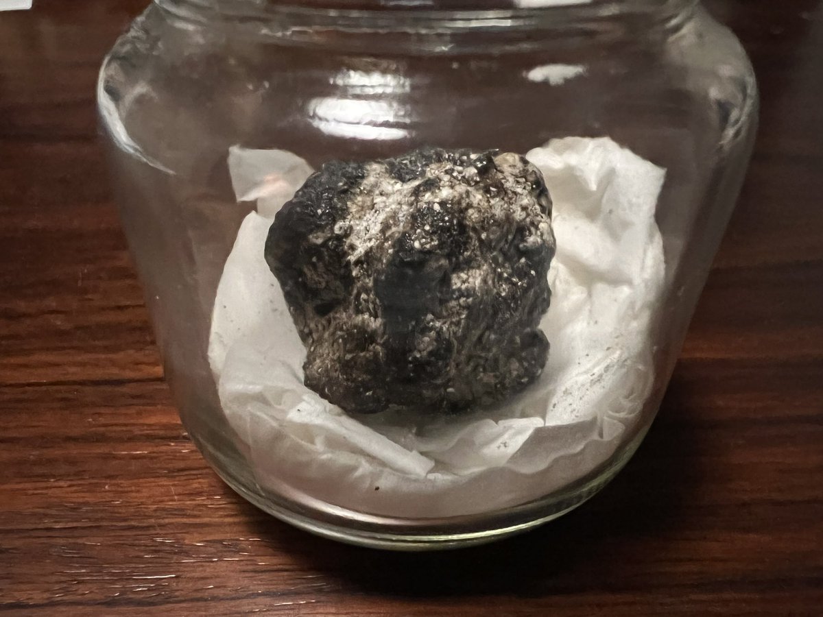 アンバーグリスジャパン/龍涎香研究・文化普及団体 アンバーグリスジャパン/龍涎香研究・文化普及団体
