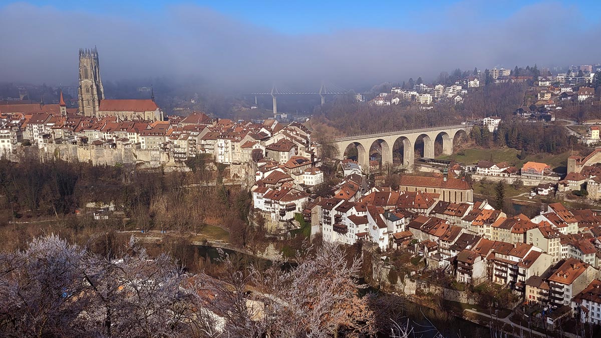 PhilipsbornLab - now on Mastodon! tweet media