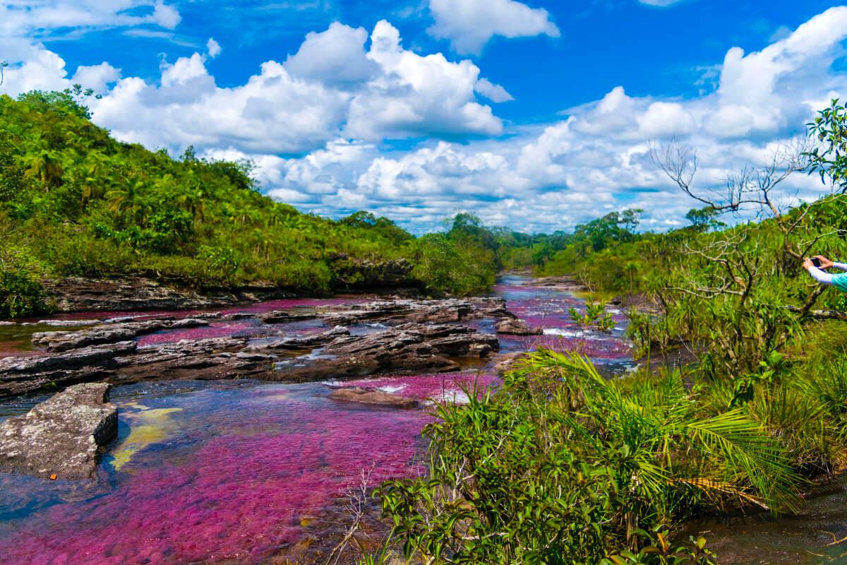 PinftagramMP's tweet image. Featuring "Cano Cristales" by DeFiGod🔥

Another beautiful NFT minted on PINFTAGRAM by DeFiGod.
Take a look at this incredible river, known as the river of the 5 colors, another example of how fascinating our Mother Earth is.

👉pinftagram.com/indivtoken?tok…

🌐linktr.ee/pinftagram