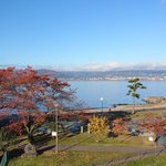 ツイートに含まれる画像