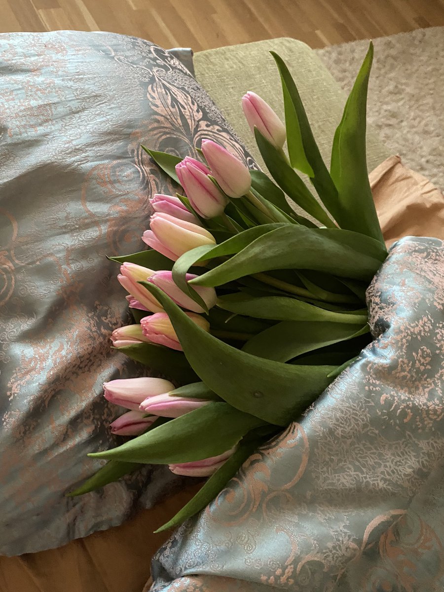 SBurhanova's tweet photo. Сохраняю эти твиты для себя на пенсии https://t.co/v5HYrHC3BW