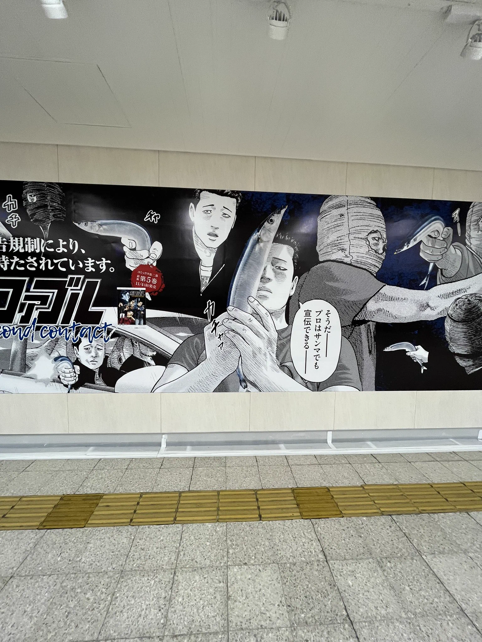 プロならサンマで宣伝できる！規制がかかったファブルの広告！