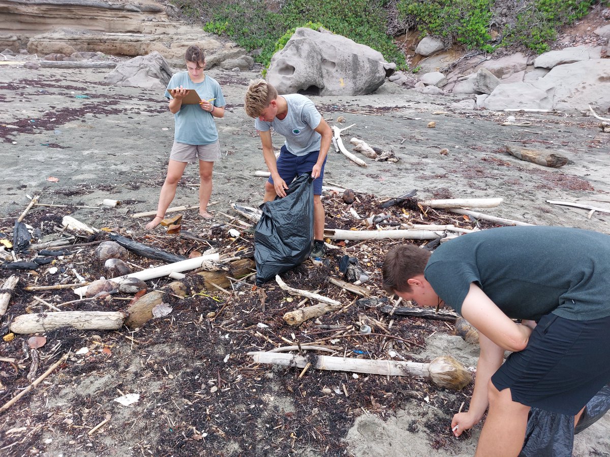 StenapaStatia's tweet image. 𝗕𝗲𝗮𝗰𝗵 𝗖𝗹𝗲𝗮𝗻 𝗨𝗽 𝗘𝘃𝗲𝗻𝘁 ~

On Saturday, December 10, Blijdorp Zoo and STENAPA will host a  clean up of the garbage on the Zeelandia Beach before sea turtle hatchlings emerge, we expect, from mid to late December. 
#StEustatius #SintEustatius #Statia #Nature