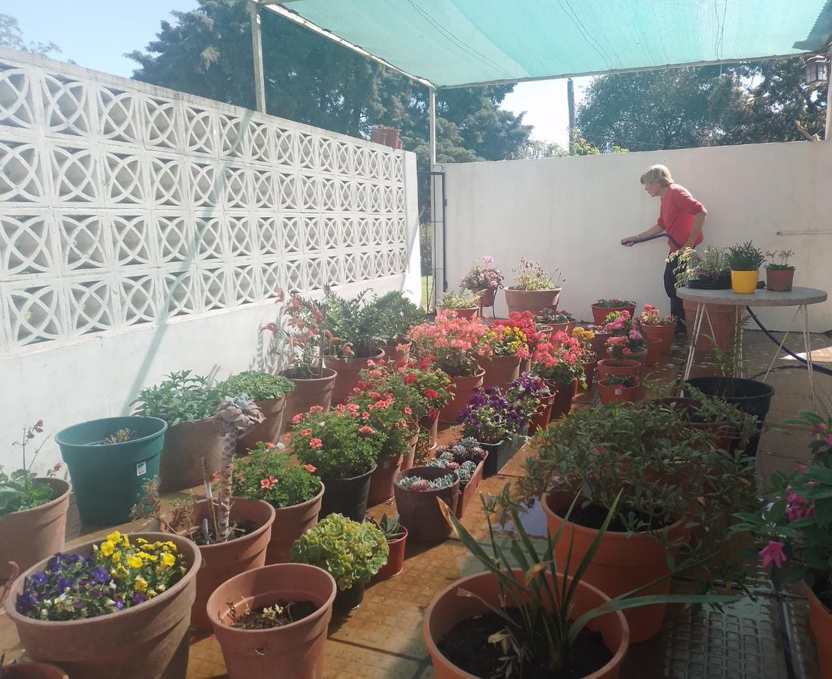 Combatiendo la seca!