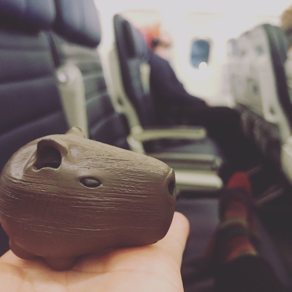 CapySkull's tweet image. Traveling alone?
No anymore 🥔@CapySkull #capibara #capybara #travelbuddy