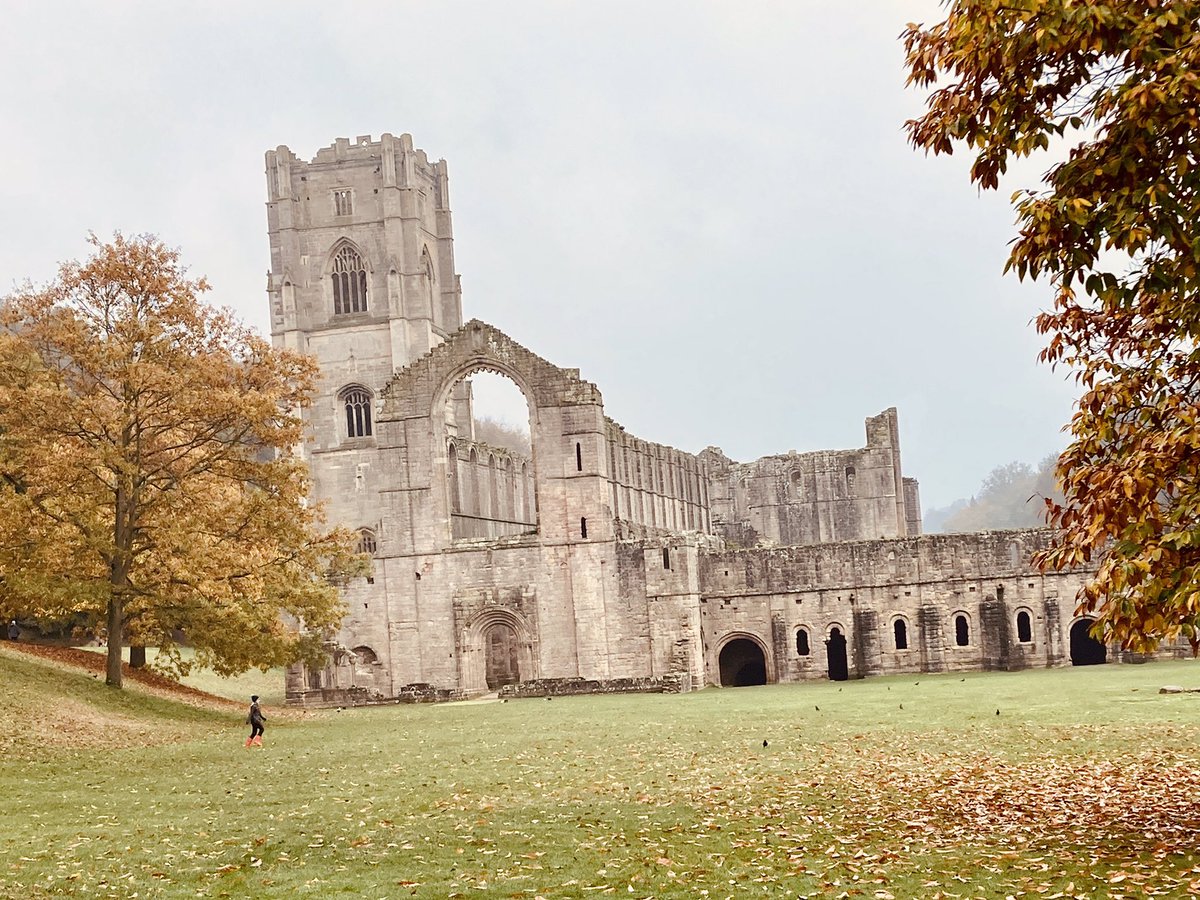 Angela Schofield tweet media