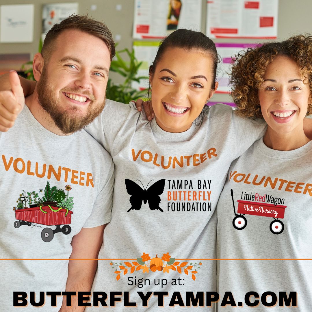 When you #volunteer, you contribute to the type of community you want to live in.  Join our volunteer team and be a part of our #conservation efforts making positive impacts in our community and the environment.
#parks #nature #butterflies #tampacommunity #exploretampa #nonprofit
