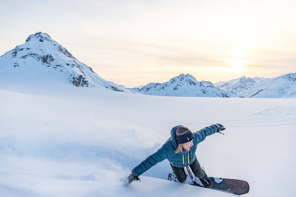 Turtle Fur tweet media