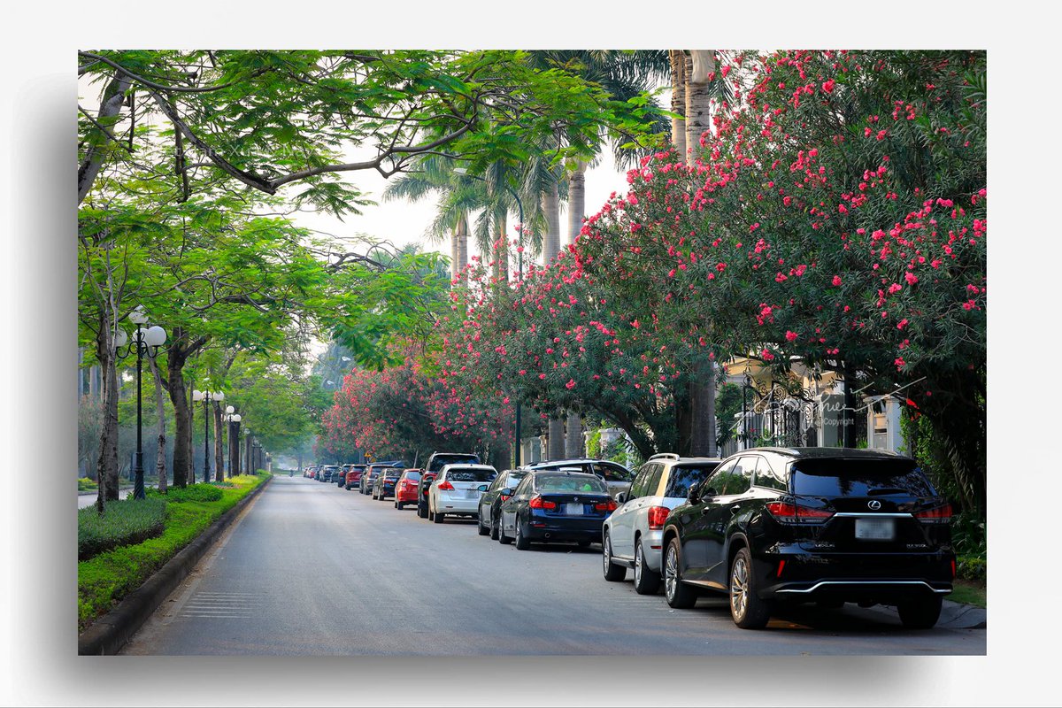 GalleryVietnam's tweet photo. Khu phố kiểu mẫu !
#hanoi #phophuong #street #capital #duongpho #muathu https://t.co/2GZJWqqrA3