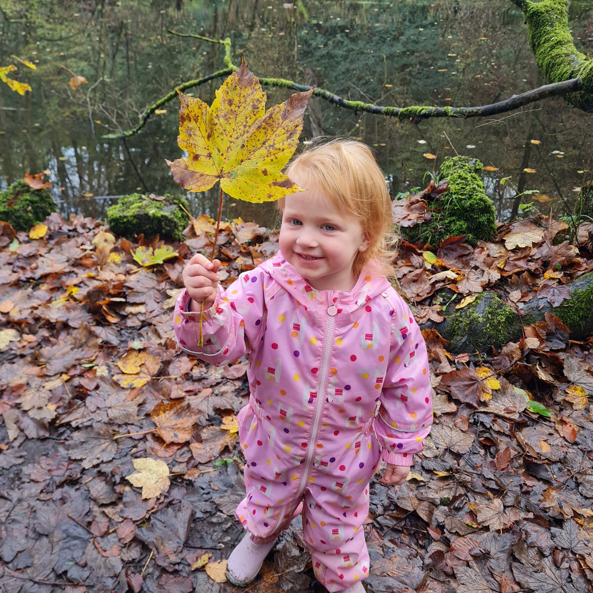 MrsHarrison90's tweet photo. Skipton castle woods with my little explorer 🥰🍂🌳 #Autumn #lovetheoutdoors https://t.co/JKiDqyEEzr