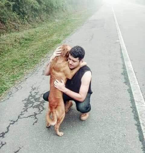Dalbodog's tweet photo. A man spotted an abandoned dog on the road, stopped the car and was received like this 💝 https://t.co/FEADG1rEHg