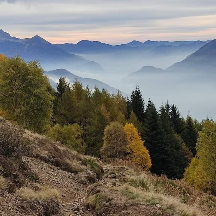 Dopo una passeggiata in quota, ci facciamo coccolare dalla sauna finlandese all'Hotel Ristorante Sassi Rossi - Crandola  
Promo speciali novembre scopri di più montagnelagodicomo.it 
#lakecomo #lagodicomo #montagnelagodicomo #valsassina #lecco #como #comolake #inlombardia