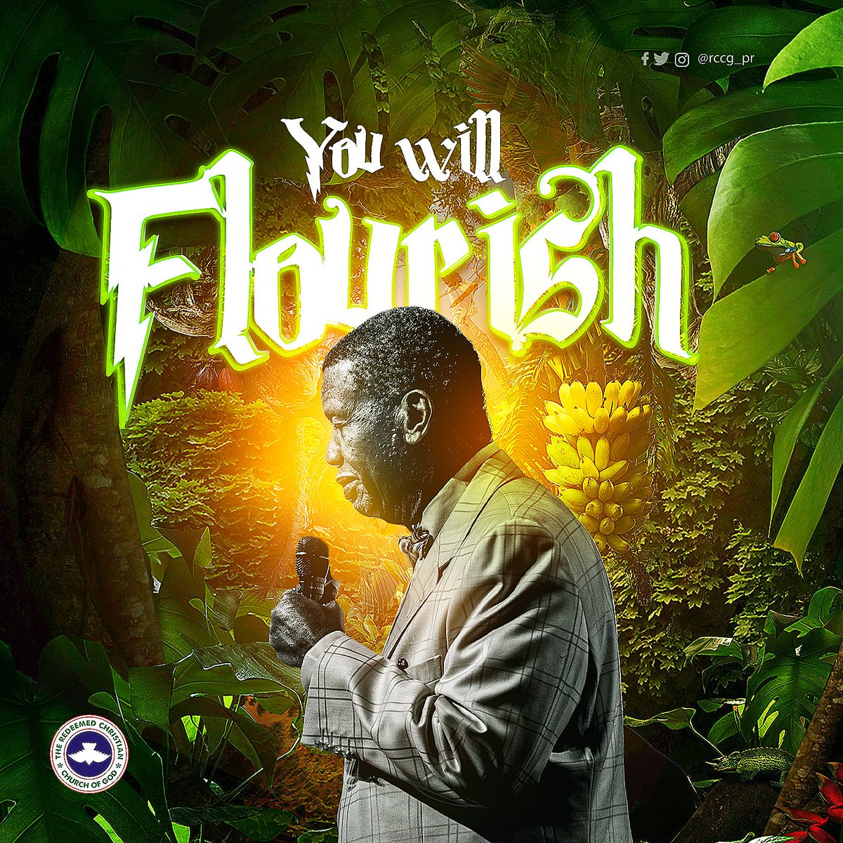 You will not only be Rich, Wealthy, and prosperous…you will FLOURISH in Jesus name.