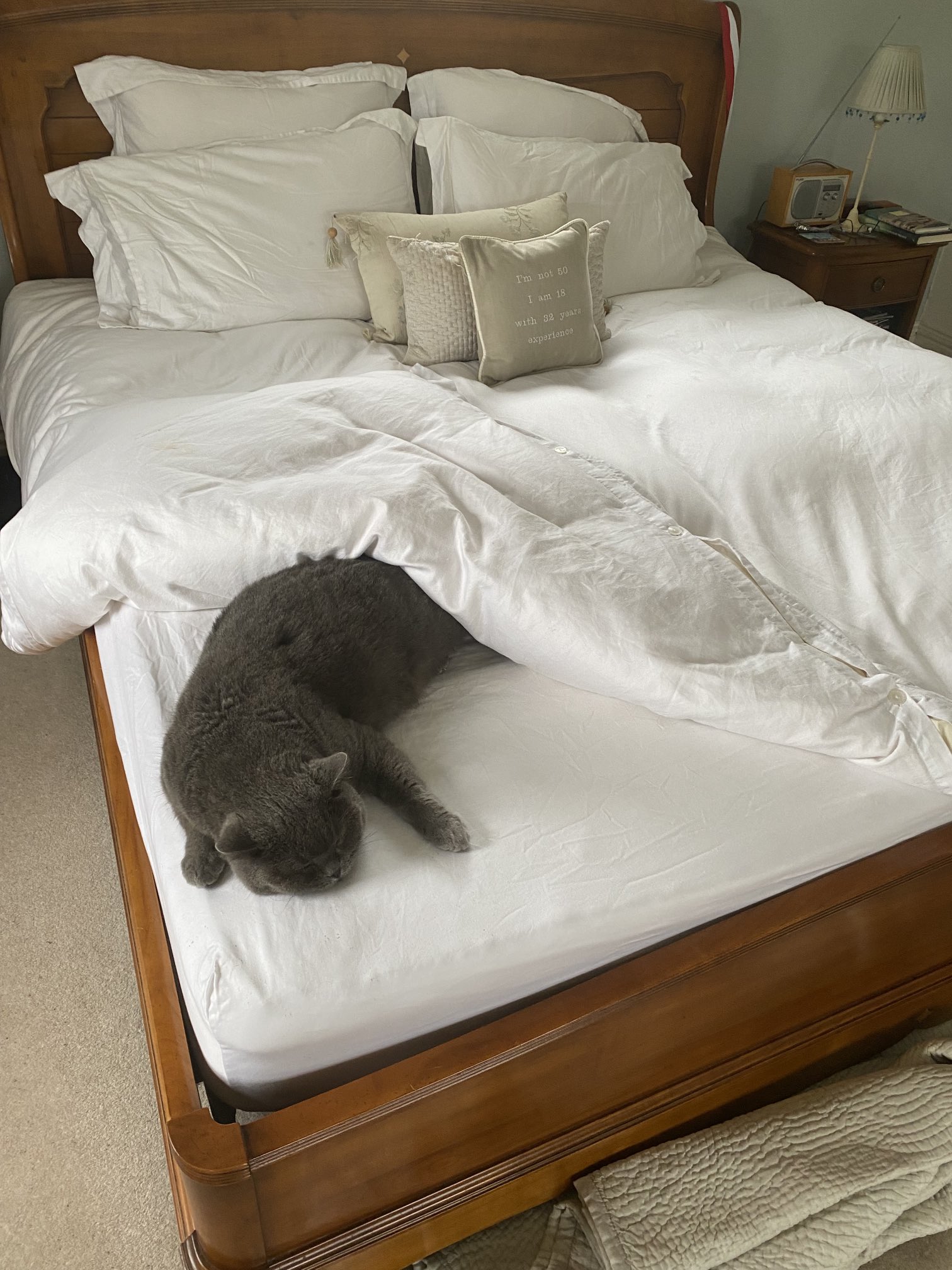 Ethan allen sale legacy sleigh bed