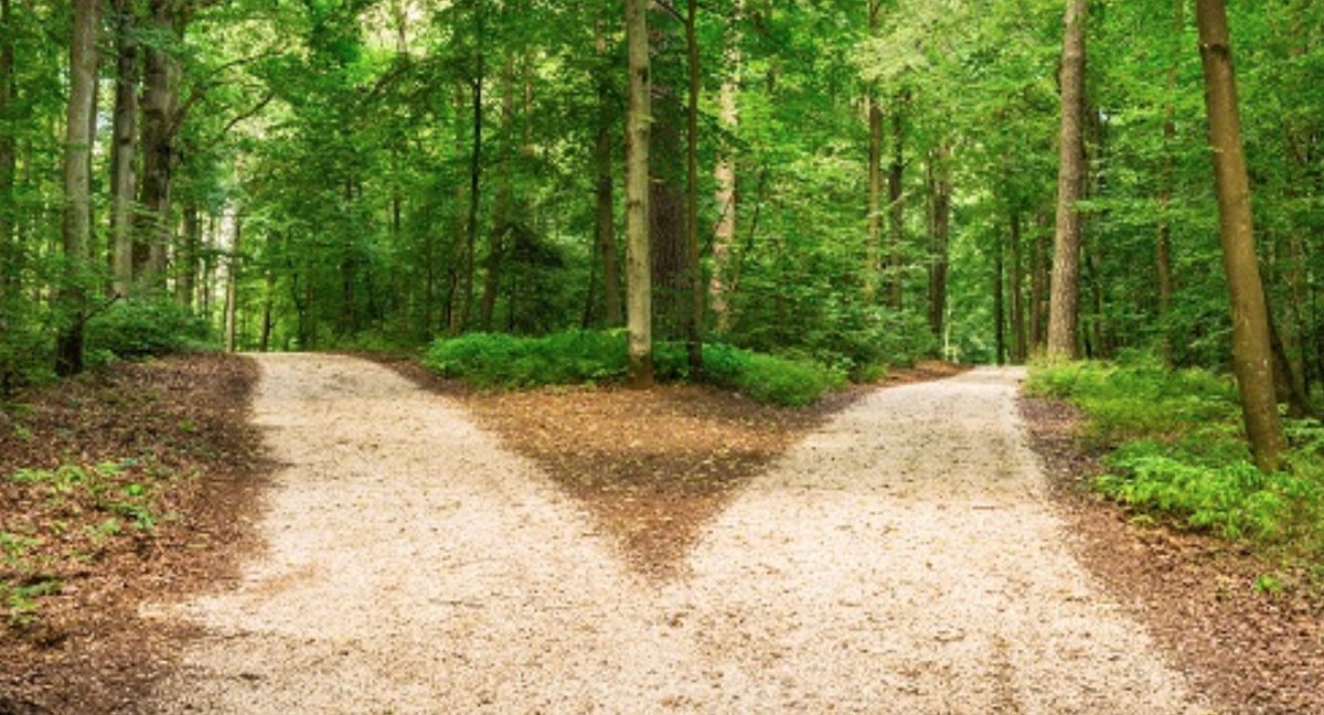 GETraining's tweet image. Programs that offer exciting possibilities are always more popular than programs that reflect the challenge of authentic solutions. We start to really progress when we prefer the uncomfortable challenge over the fantasy escape.