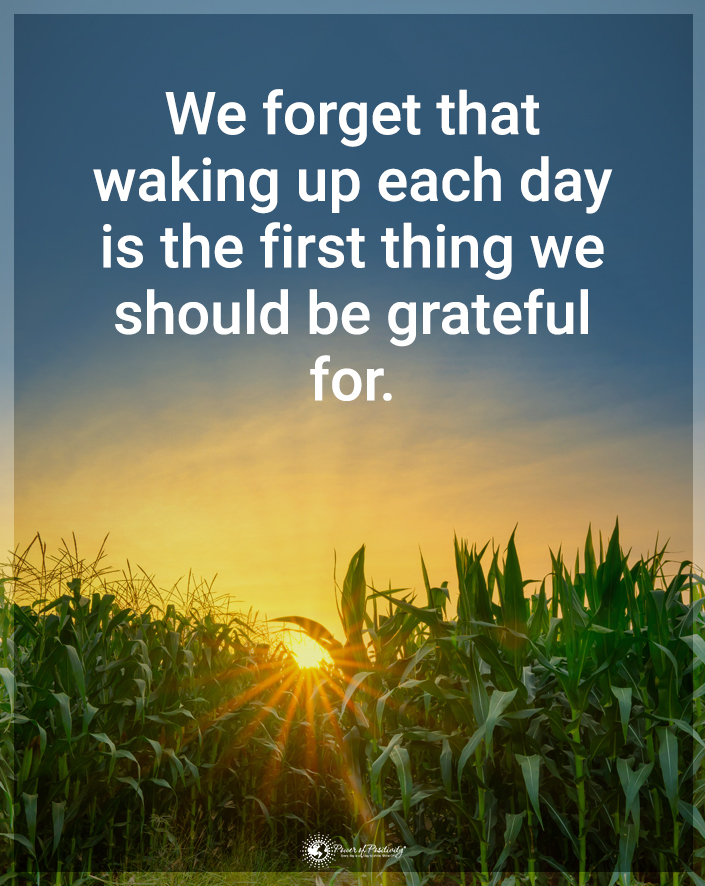 TrainingMindful's tweet photo. “We forget that waking up each day is the first thing we should be grateful for.” https://t.co/bz5PnwXOkZ