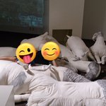 ツイートに含まれる画像