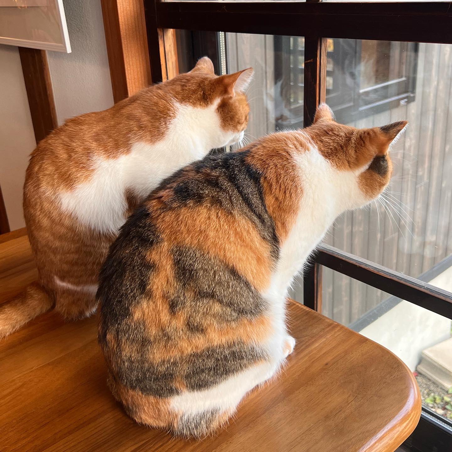 弘前カフェ Twitter Search Twitter