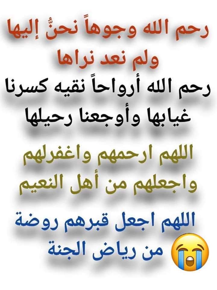 السيد . tweet media