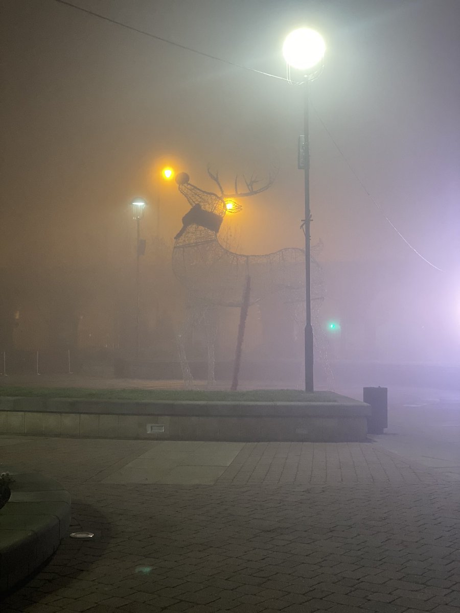 Darbs8797's tweet image. Leaving work this morning and saw how cool the reindeer looked in fog 😍@MarshallsYard @WestLindseyDC