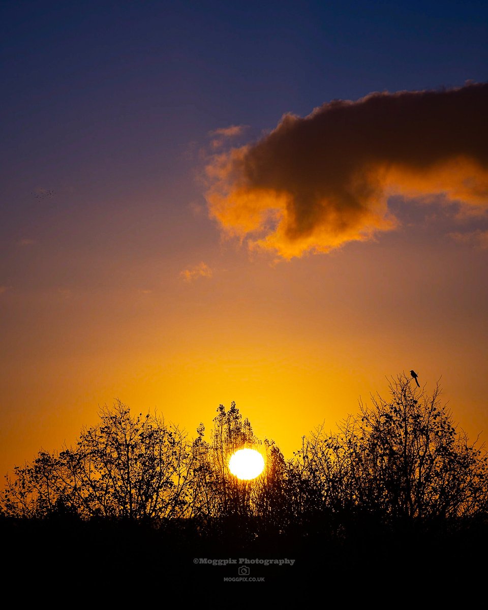 A November Sunrise 

#Sunrise #Dawn #Liverpool #Moggpix