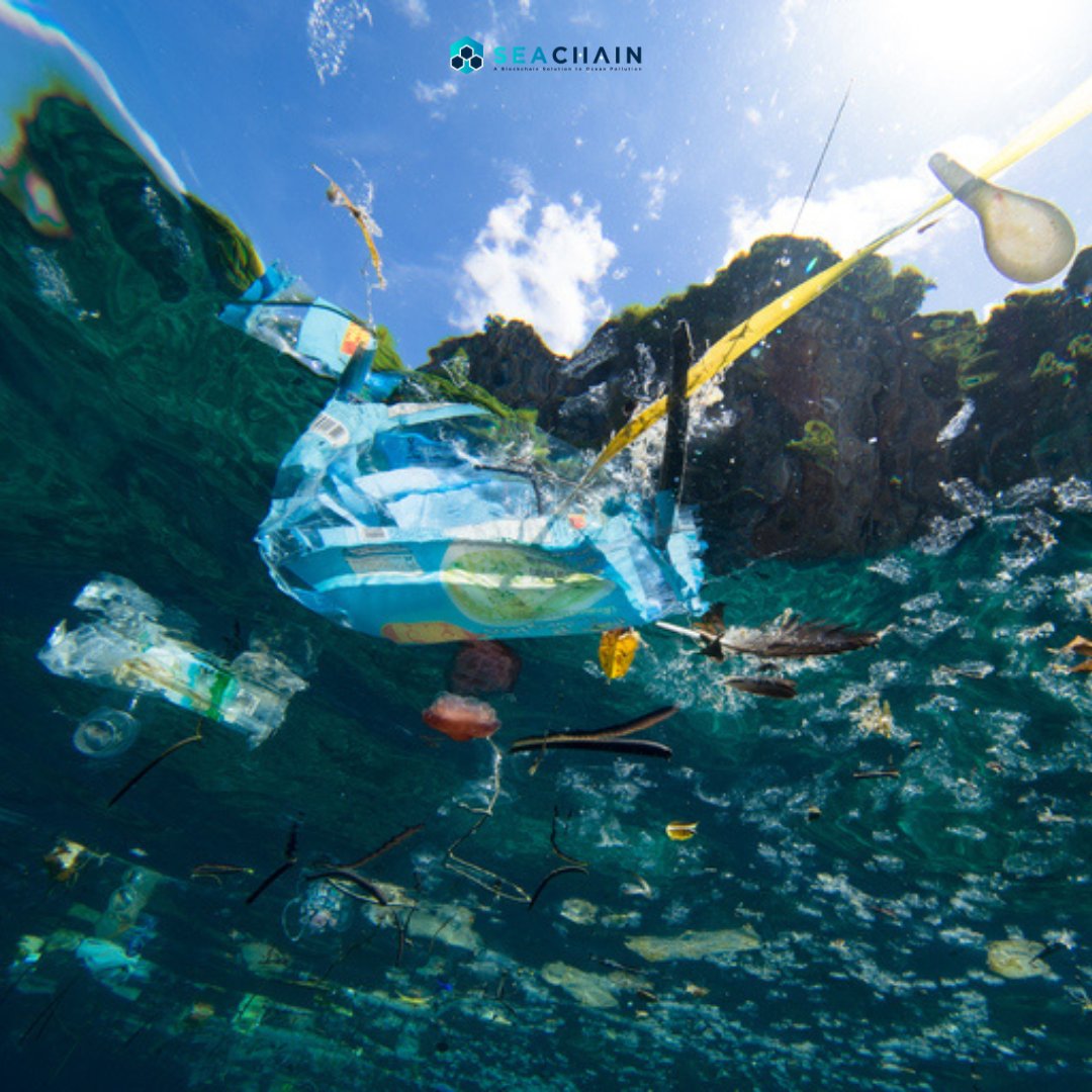 Most of the garbage that reaches the oceans comes from rivers, and can reach the rivers in different ways, such as through wastewater, wind, rain, and floods, and its destination will always be the sea.