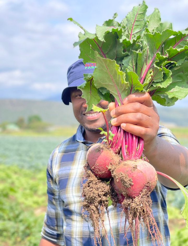 p_dusabimana's tweet photo. If you agree that farming is a most rewarding profession, like and retweet! https://t.co/C4xQ7v0SS8