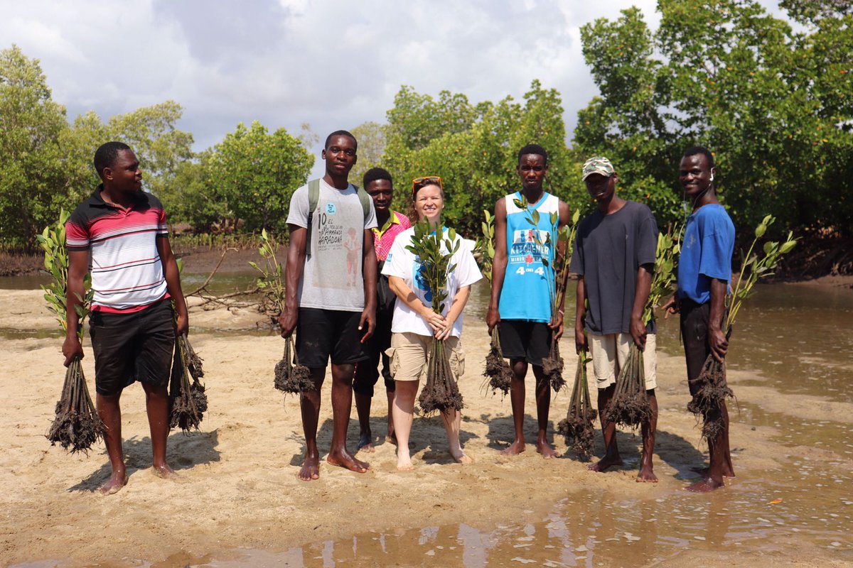 GirlsToWomen2's tweet photo. 19th and 21st October was an amazing day to us. Joined @TalantaMarereni and @MabicoC for a mangrove planting session at the Mambrui Fish Collection in Marereni. Where we planted 12000 mangrove seedling of the Rhyzophora Mucronata among others. https://t.co/coT8spKMhU