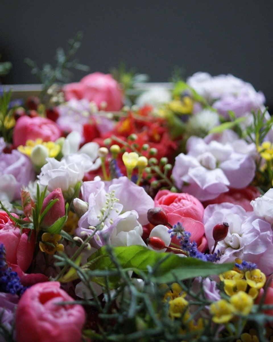azito_yome's tweet photo. 演奏会にお持ちになる花
#boxflower
#カラフル
#西宮花屋アジト https://t.co/m7GWNPfFzB