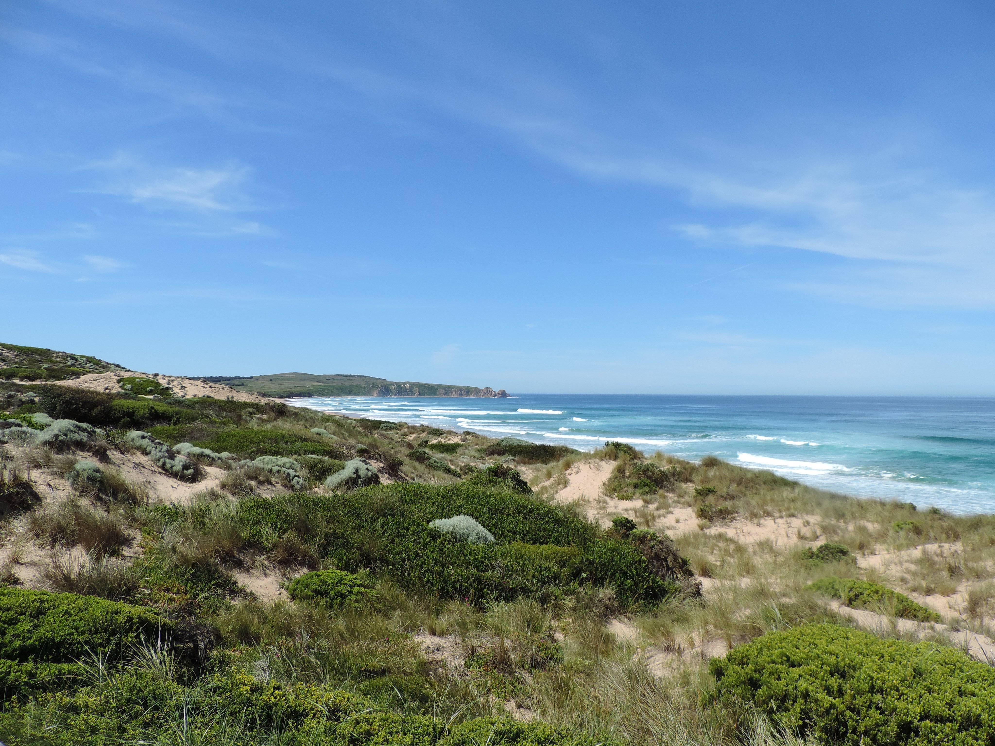 south-coast-tv-on-twitter-took-these-at-phillip-island-today-https