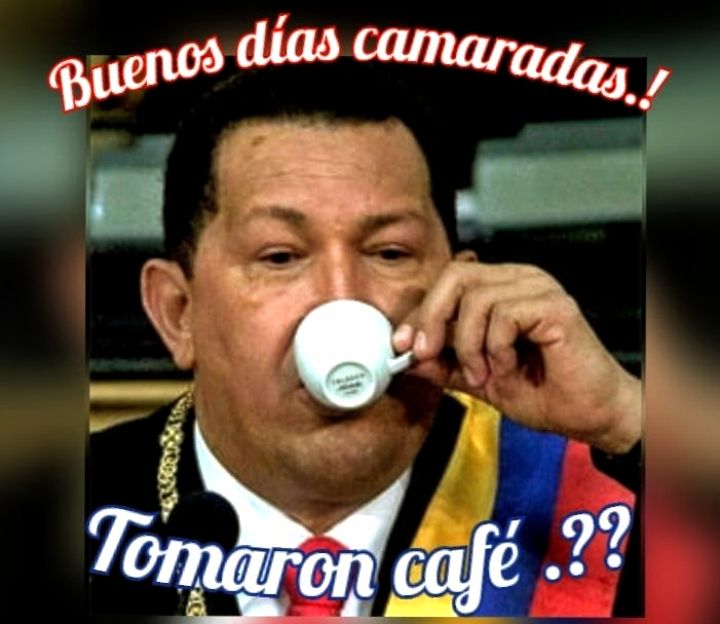 @joserampini tweet media