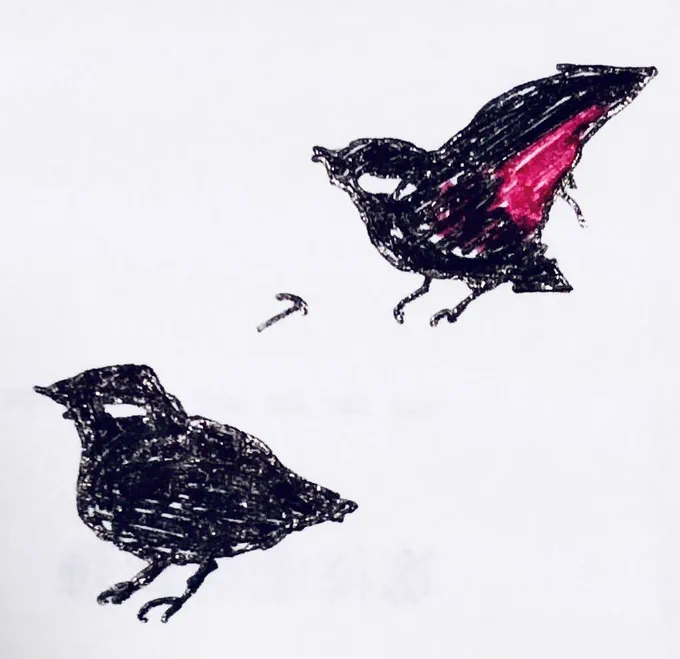 山でこういう小鳥を見ましたあんまり見たことない気がするなんて鳥だろう 