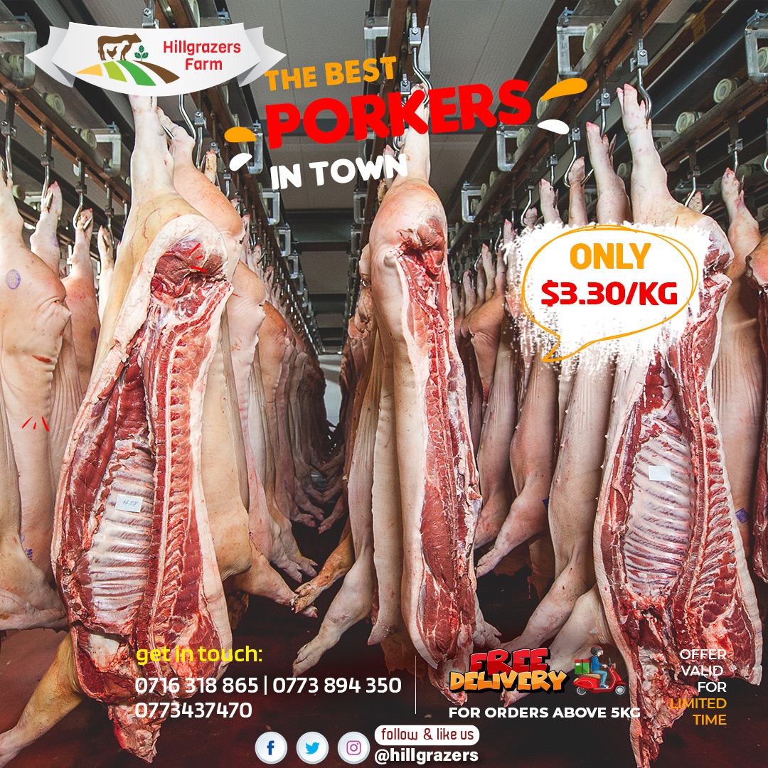 FarhillPig's tweet photo. #redmarketsunday
@redmarketsunday 
@iMisred https://t.co/G2hf5voL6R